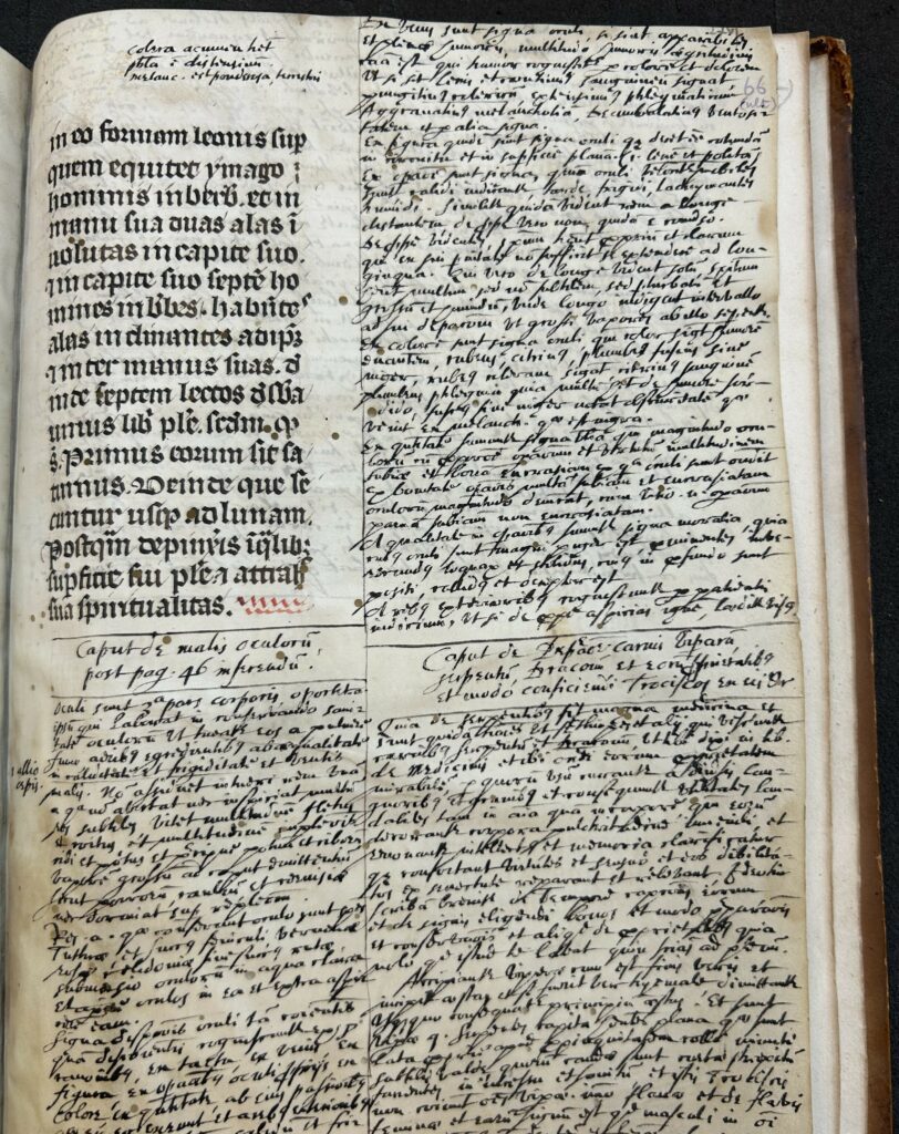 MS 2 page almost completely filled with additional 17th century marginalia