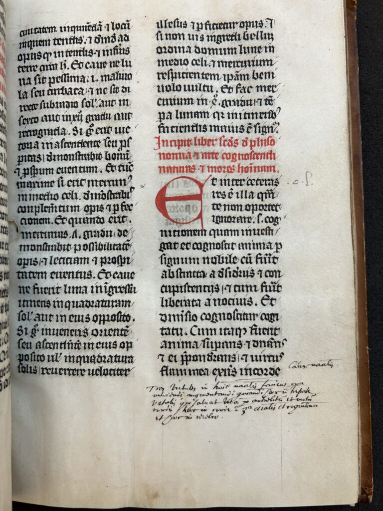 Example page with marginalia in 17th century hand at bottom