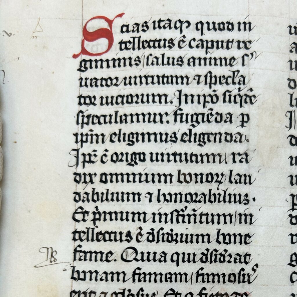 Close up of MS 2 showing an example of marginalia - NB is written next to the main column of text. 