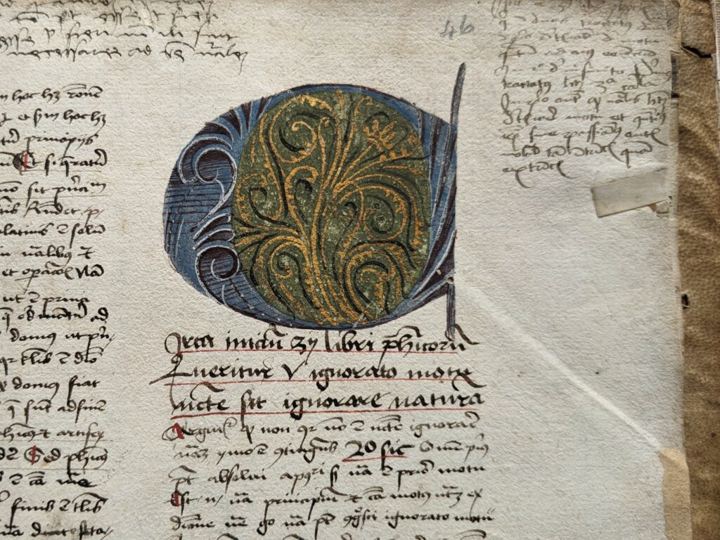 Close up of illuminated letter in blue, which and black with green black and gold in centre. Surrounded by manuscript text and marginalia.