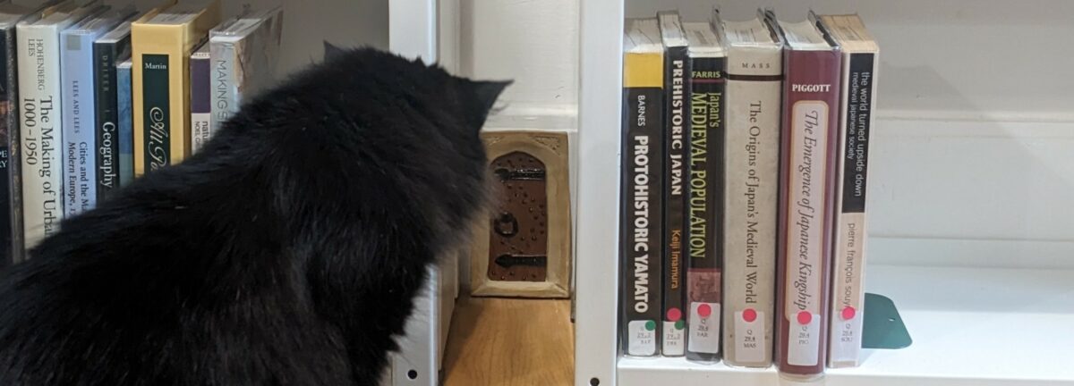 Simpkin the cat staring at a tiny door between bookshelves